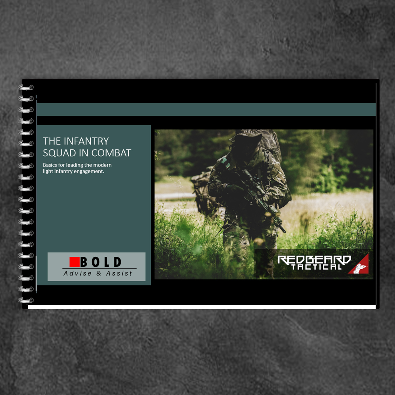 PRE-ORDER: The Infantry Squad In Combat
